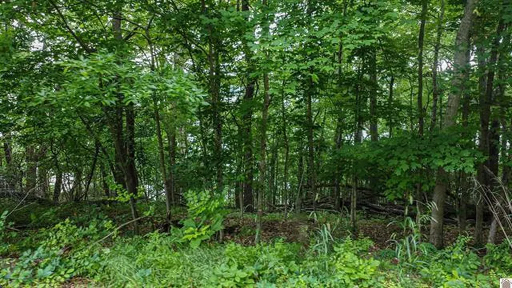 Lot 6 & 7 Deer Run Road Eddyville KY 42038