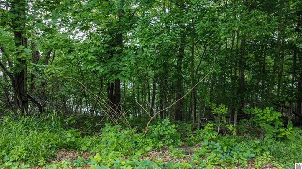 Lot 6 & 7 Deer Run Road Eddyville KY 42038