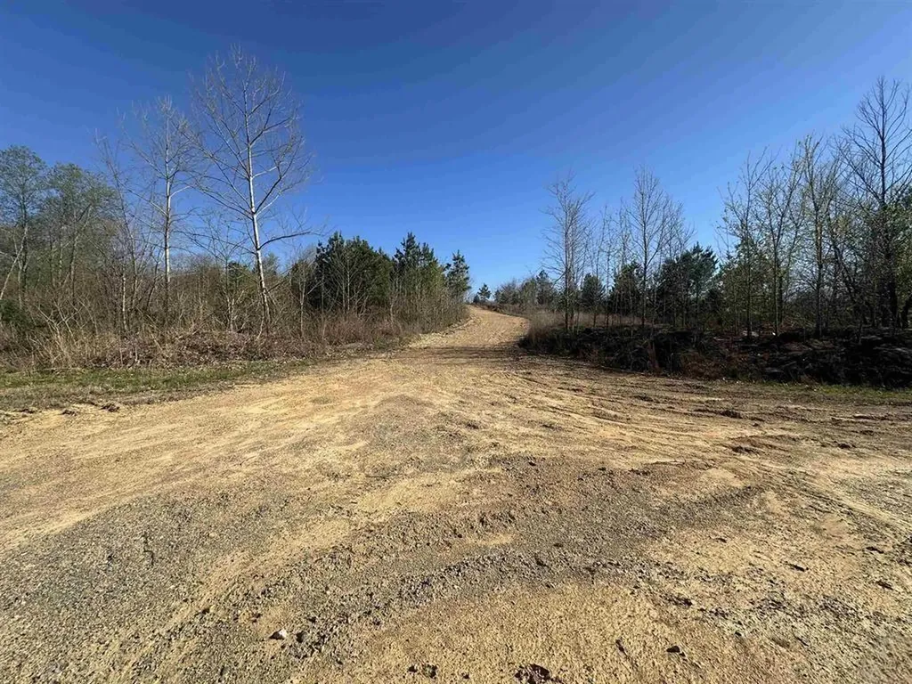 13217 S State Route 121 New Concord KY 42076