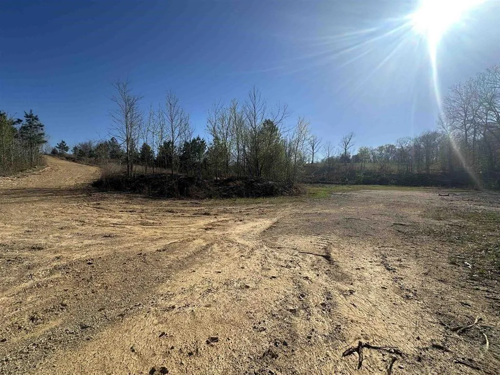 13217 S State Route 121 New Concord KY 42076