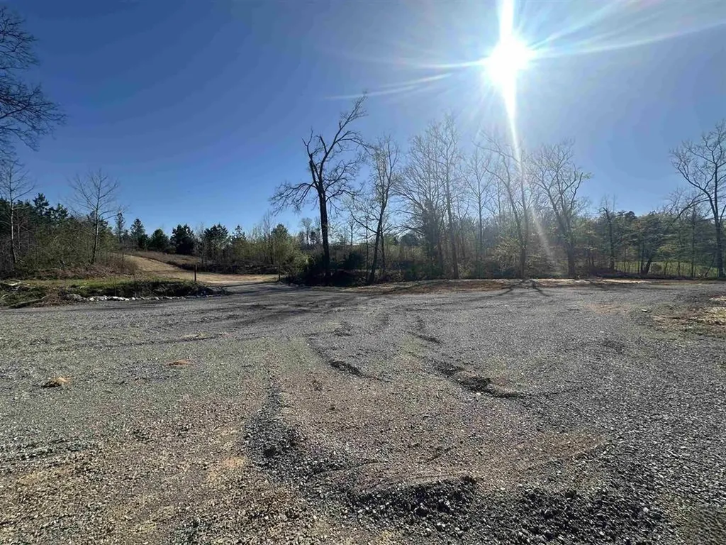13217 S State Route 121 New Concord KY 42076
