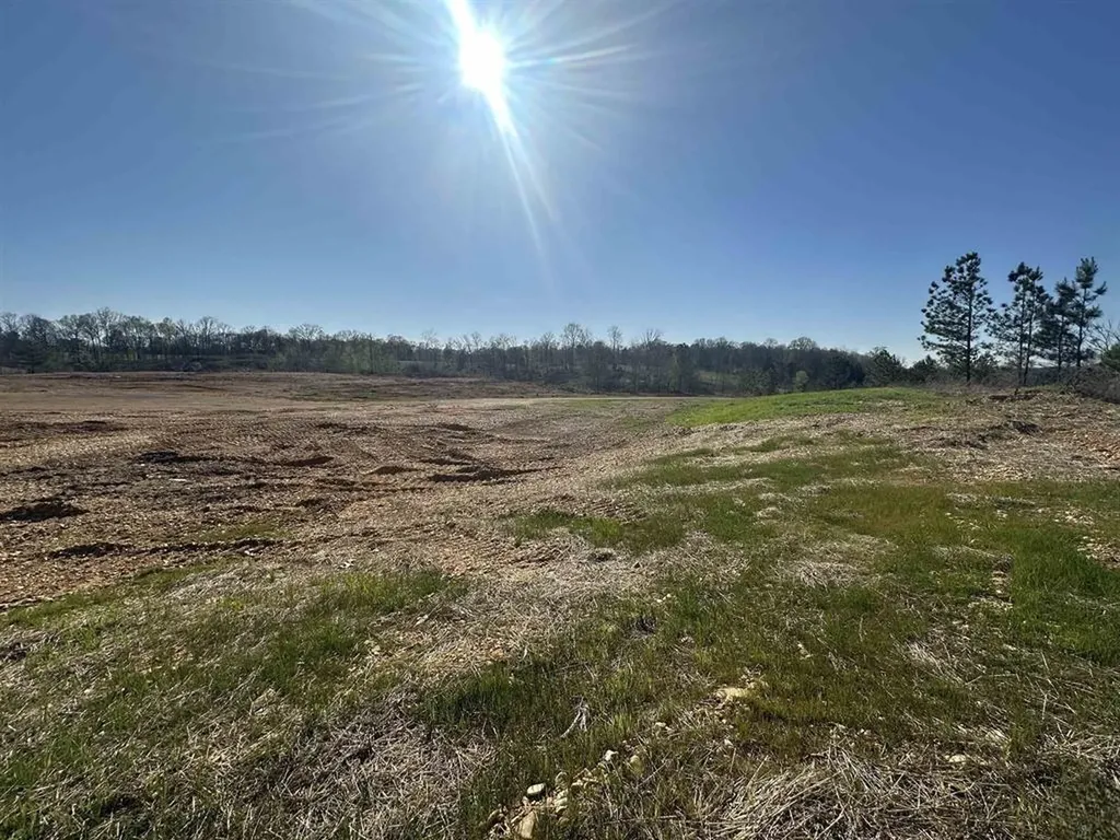 13217 S State Route 121 New Concord KY 42076
