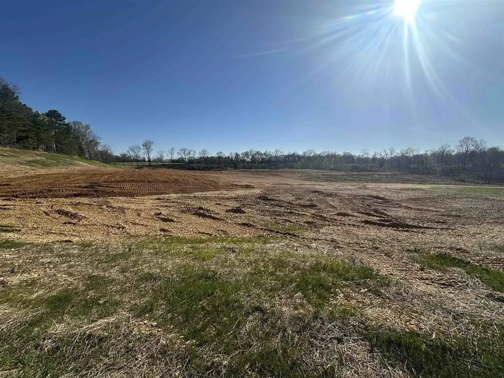 13217 S State Route 121 New Concord KY 42076