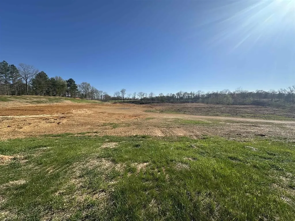 13217 S State Route 121 New Concord KY 42076