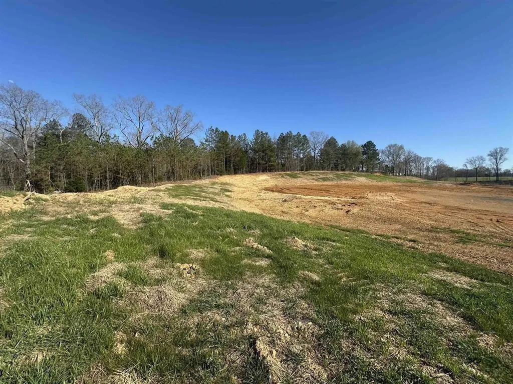 13217 S State Route 121 New Concord KY 42076