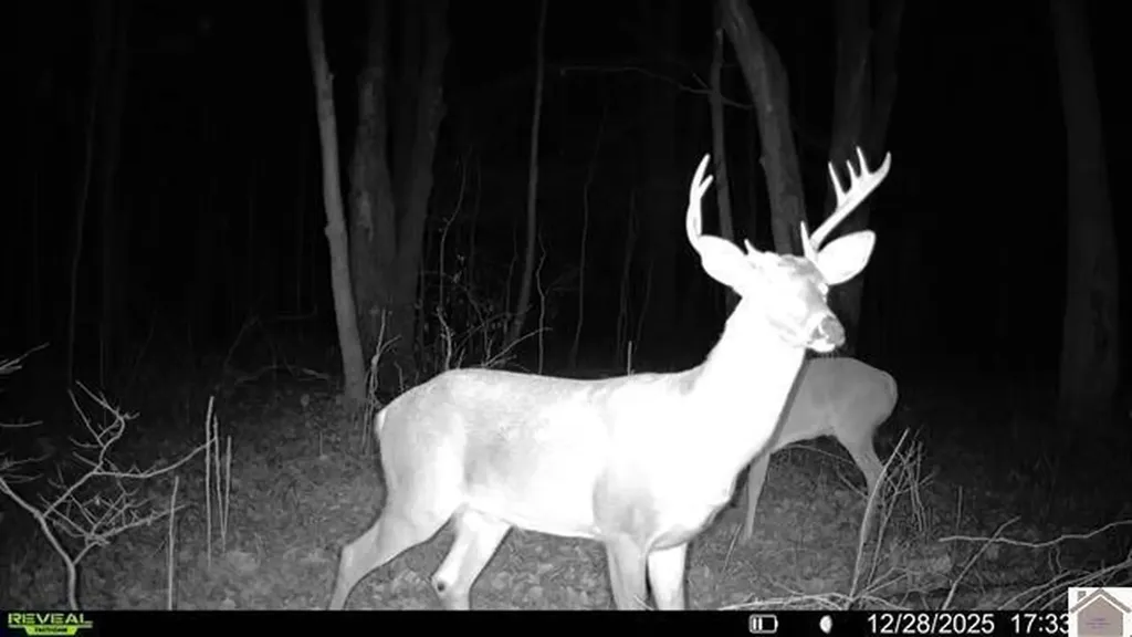 000 Highland Road Murray KY 42071