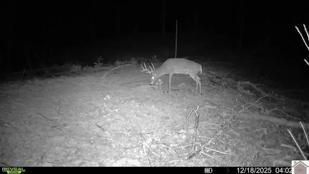 000 Highland Road Murray KY 42071