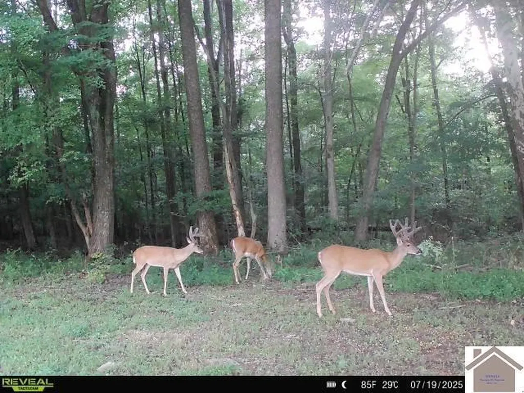 000 Highland Road Murray KY 42071
