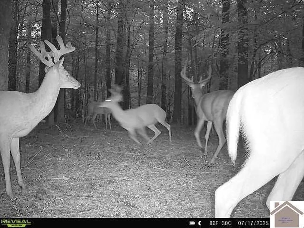 000 Highland Road Murray KY 42071