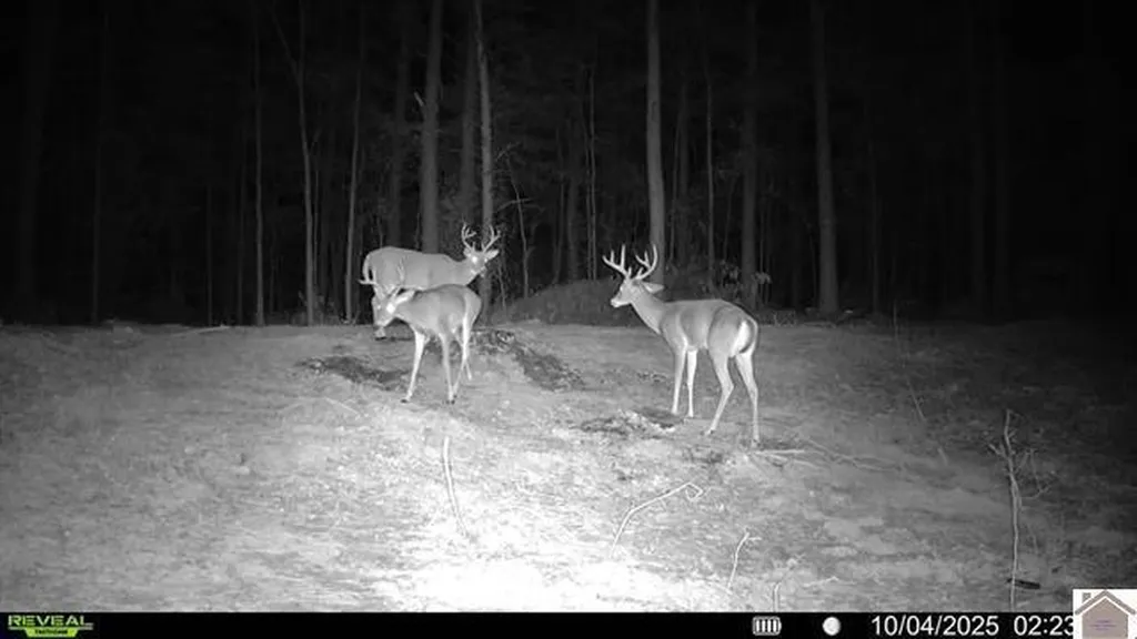 000 Highland Road Murray KY 42071