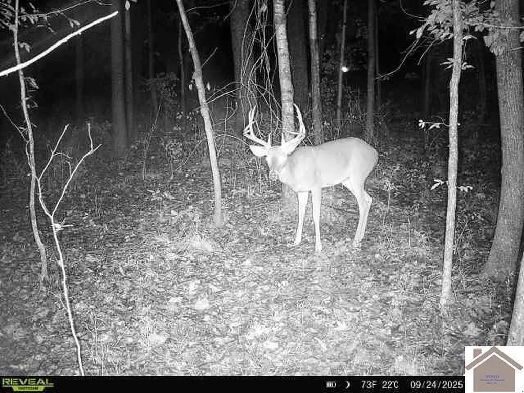 000 Highland Road Murray KY 42071