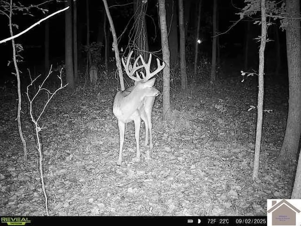 000 Highland Road Murray KY 42071