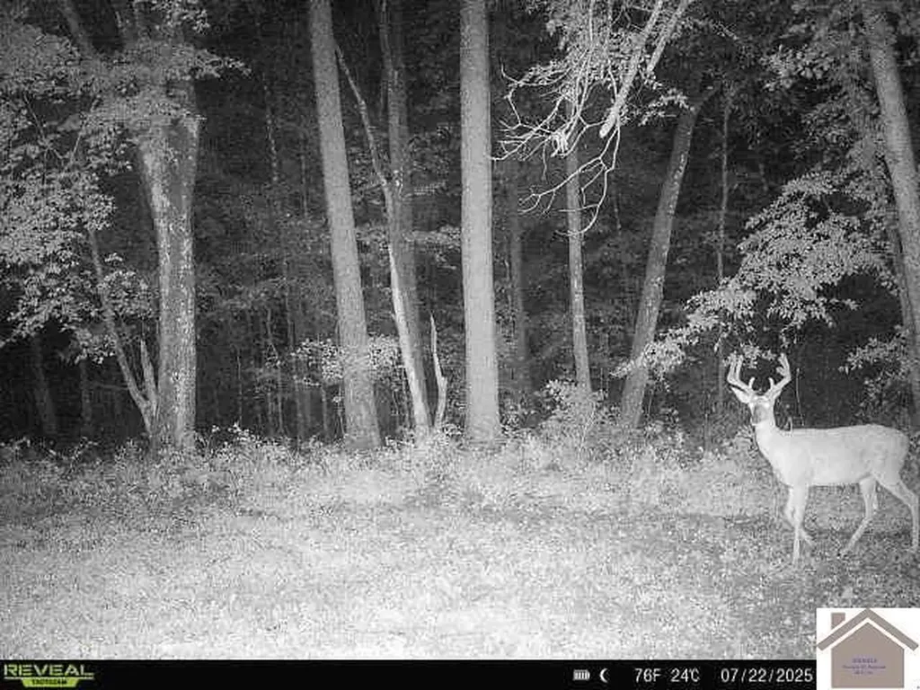 000 Highland Road Murray KY 42071