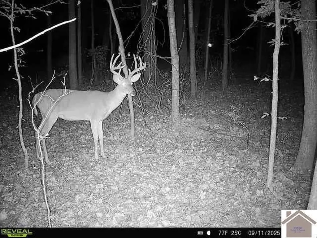 000 Highland Road Murray KY 42071