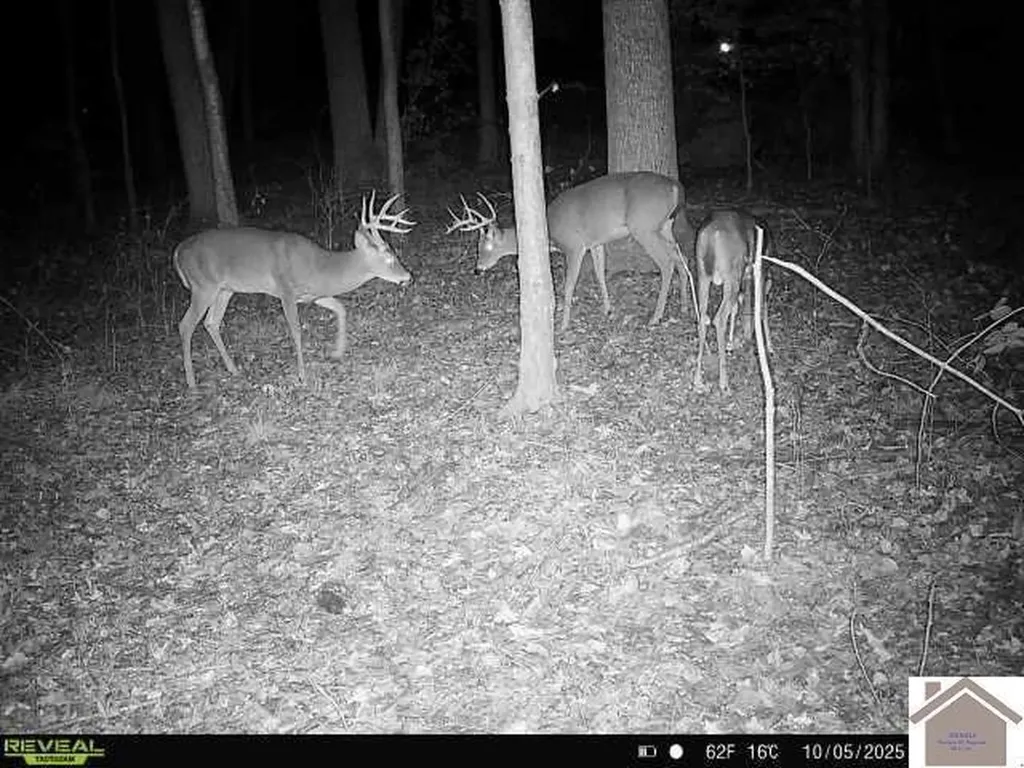 000 Highland Road Murray KY 42071