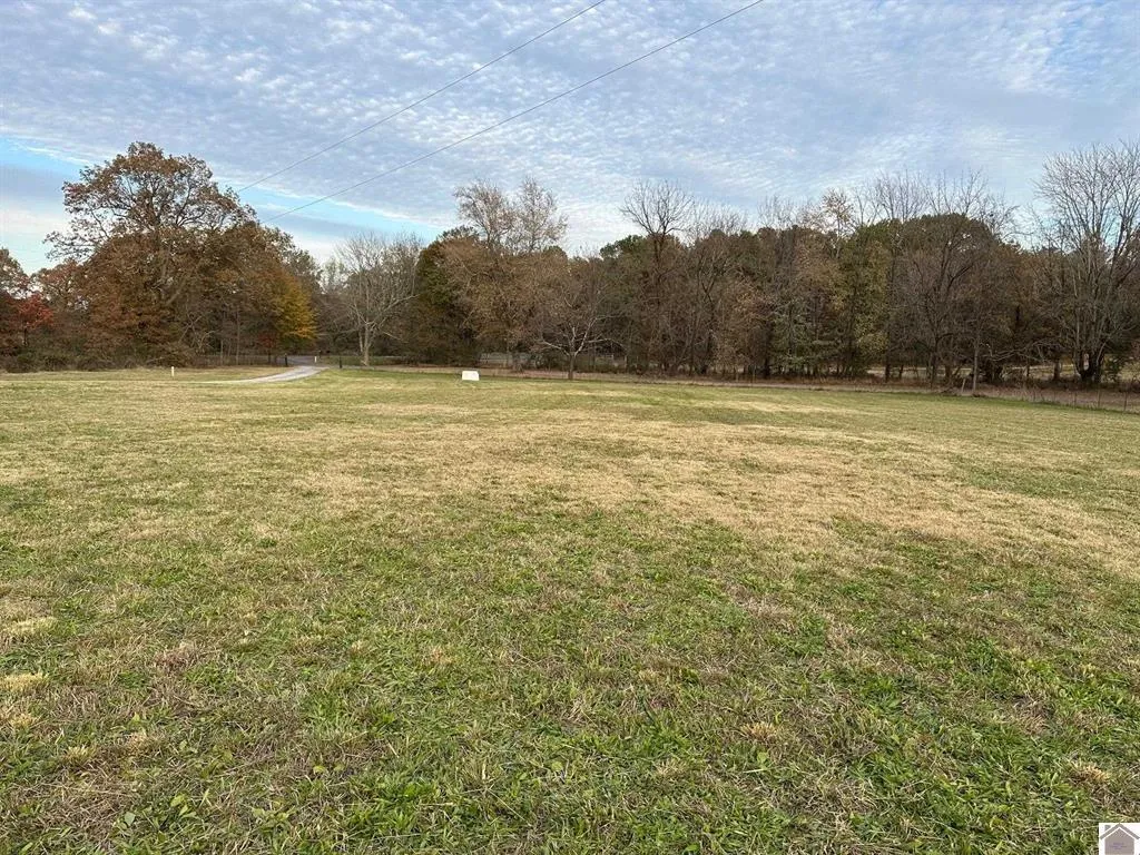 2525 Jimtown Road Mayfield KY 42066