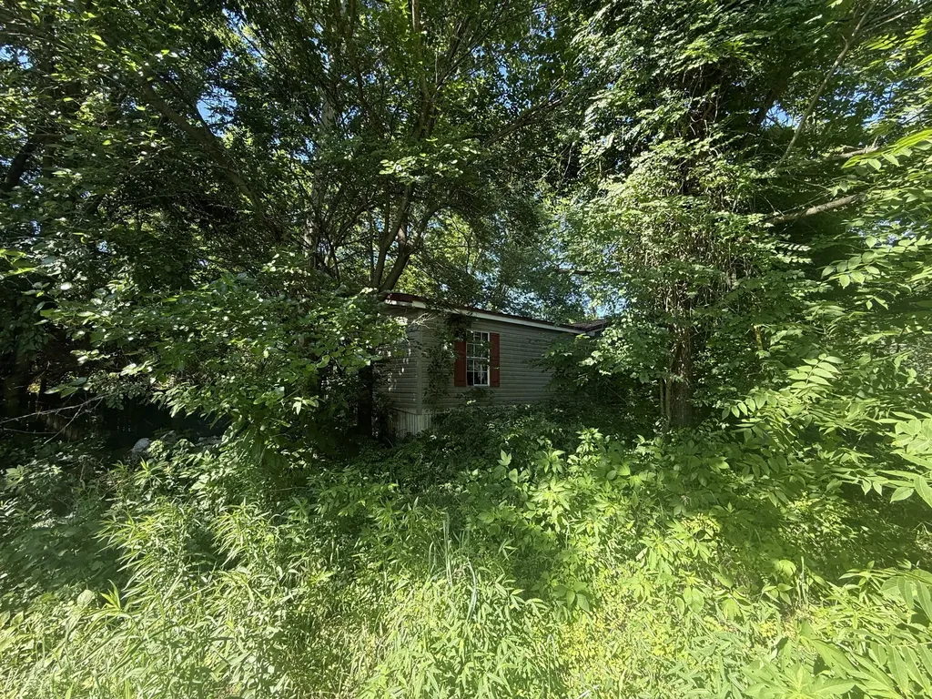 423 Williams Lane Mayfield KY 42066