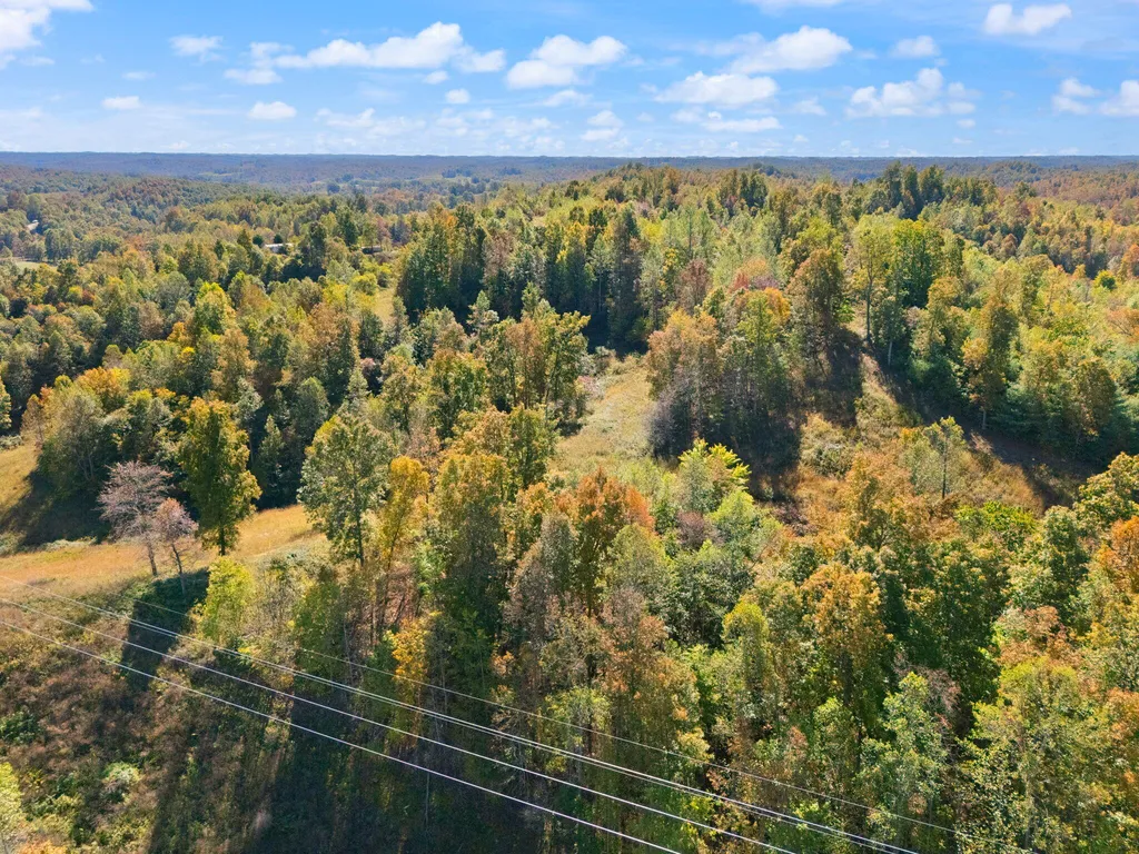 458 Opossum Hollow Road Wellington KY 40387
