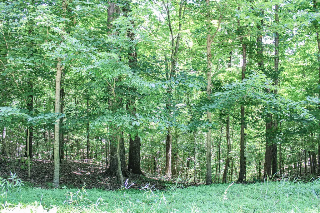 0 Algonquin Road Eddyville KY 42038