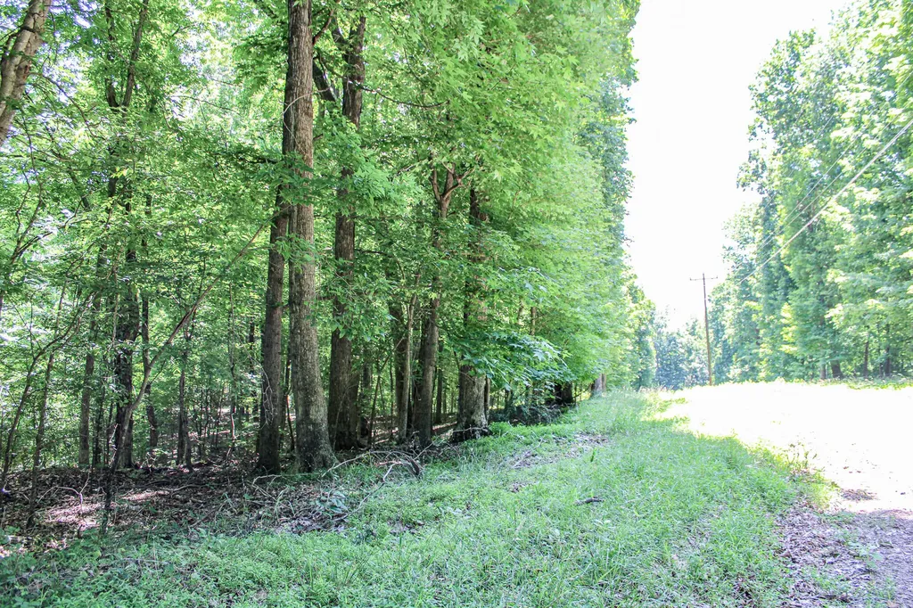 0 Algonquin Road Eddyville KY 42038