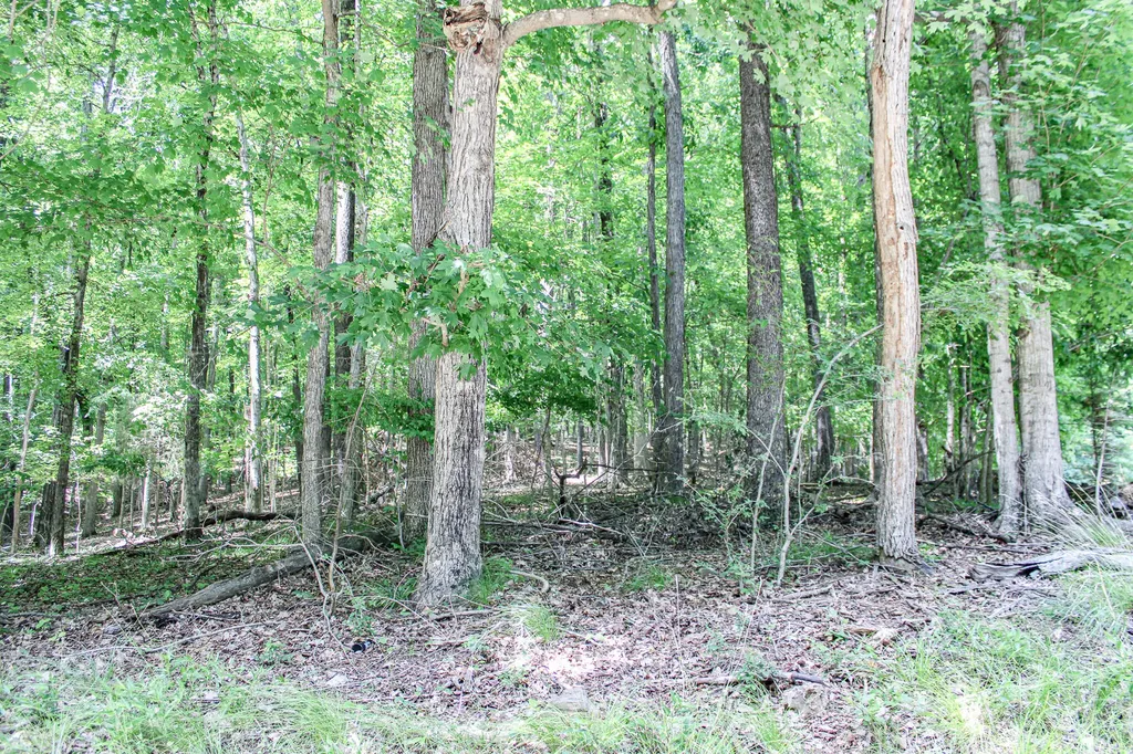 0 Algonquin Road Eddyville KY 42038