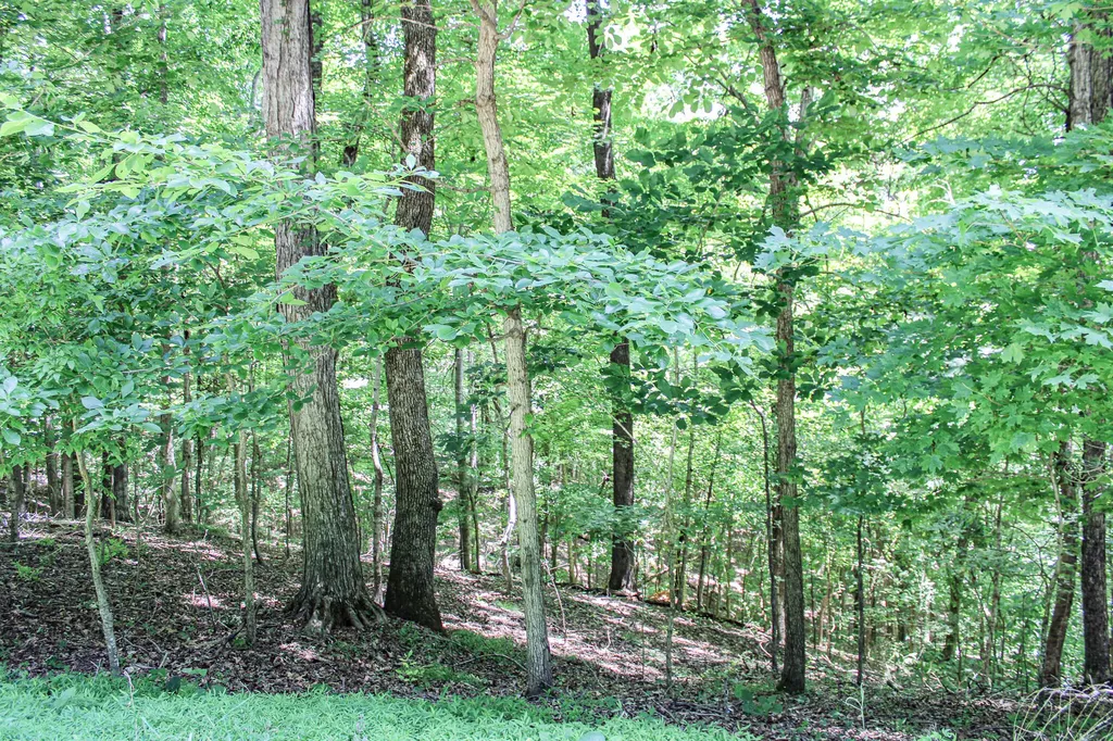 0 Algonquin Road Eddyville KY 42038