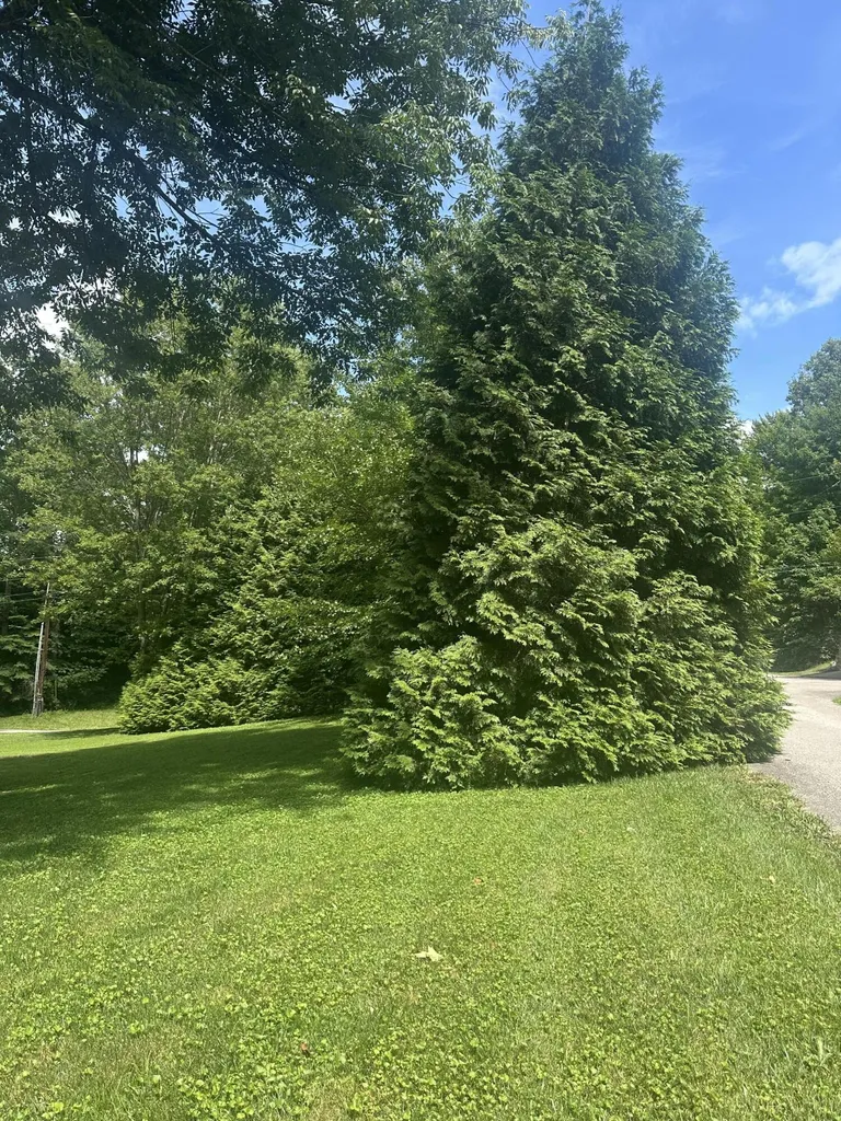 101 Cory Lane Somerset KY 42503