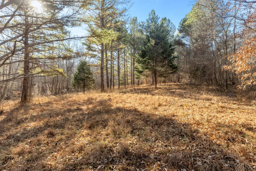 6303 Pottertown Road Murray KY 42071
