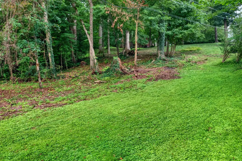 1207 E Dogwood Murray KY 42071