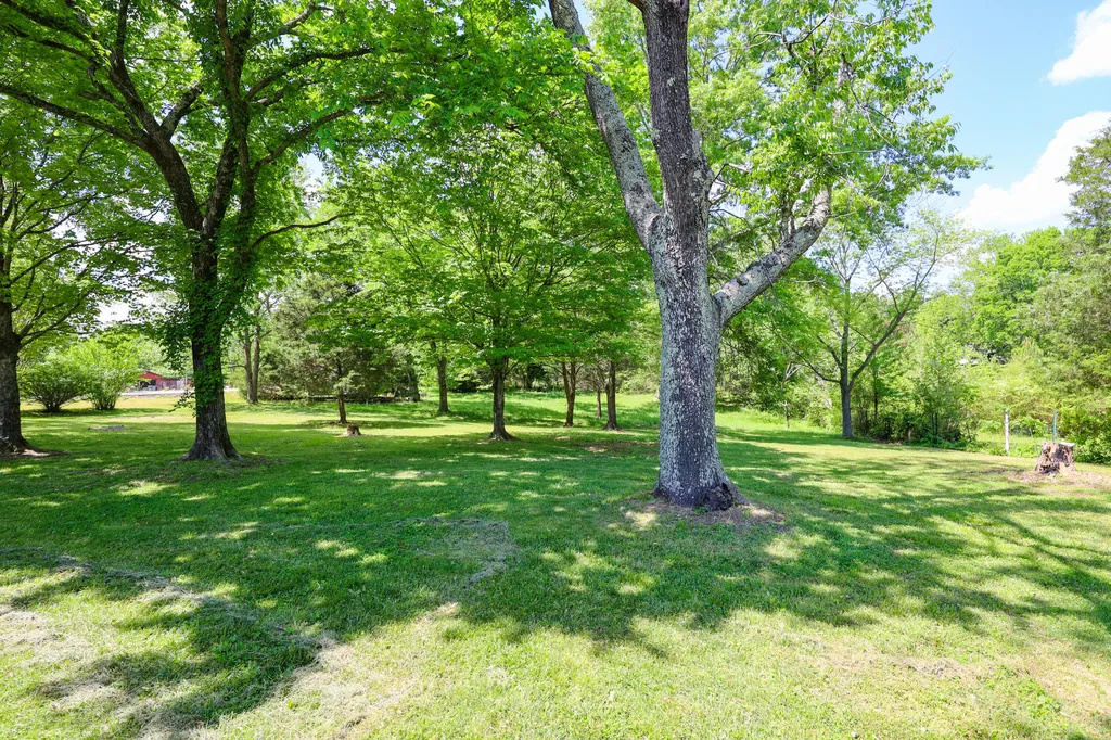 290 Cross Spann Road Murray KY 42071