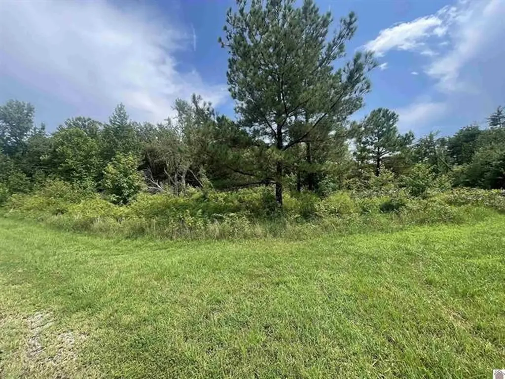 Lot #3 0 Deepwood Drive Murray KY 42071