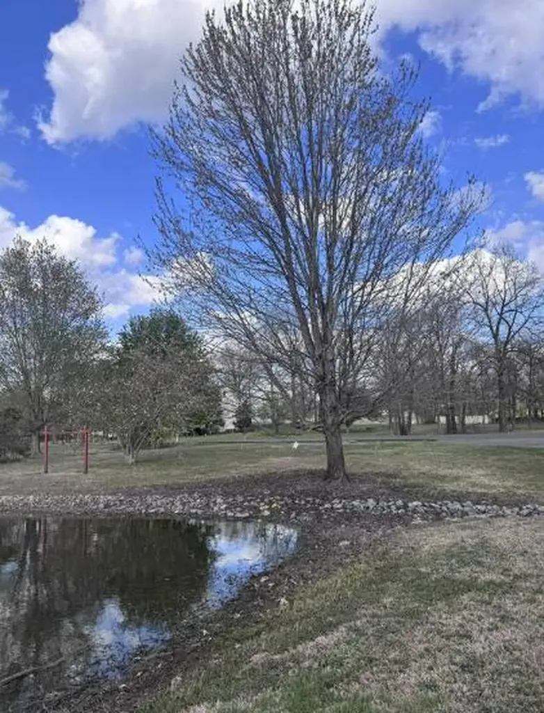 4175 Woodland Hill Drive Kevil KY 42053
