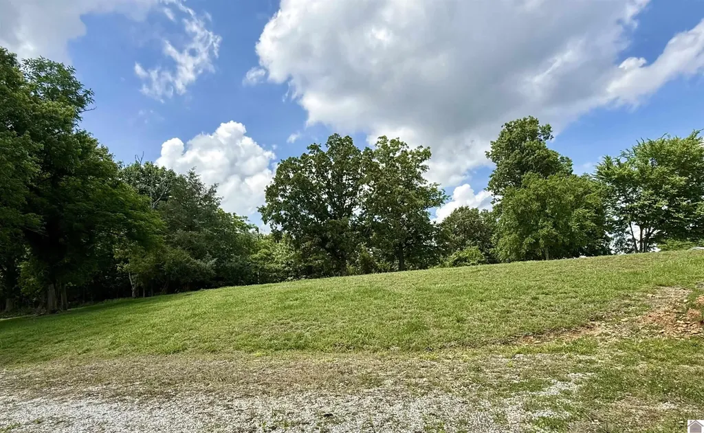 42 Meadowlark Lane Eddyville KY 42038