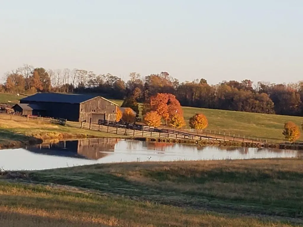 3594 Long Lick Pike Stamping Ground KY 40379