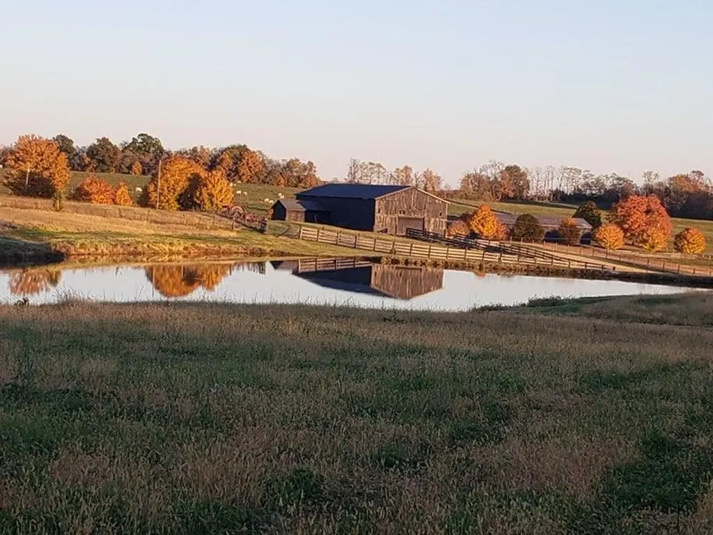 3594 Long Lick Pike Stamping Ground KY 40379