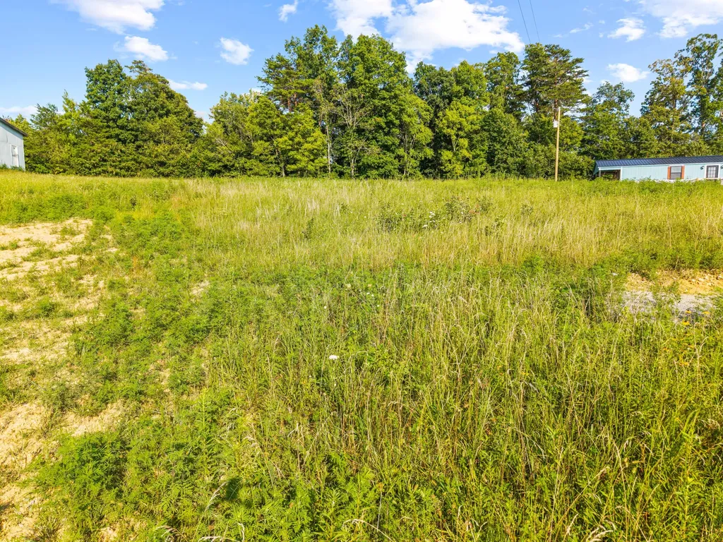 34 Spring Branch Hollow Road Nancy KY 42544