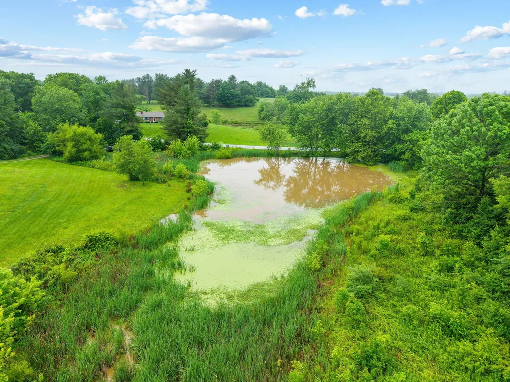233 Schollsville Road Winchester KY 40391
