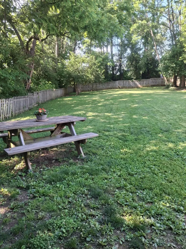 311 Holt Avenue Mt Sterling KY 40353