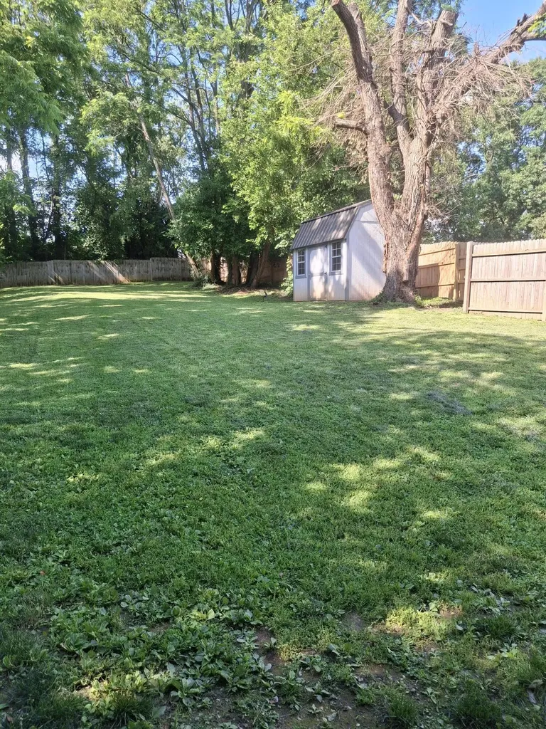 311 Holt Avenue Mt Sterling KY 40353