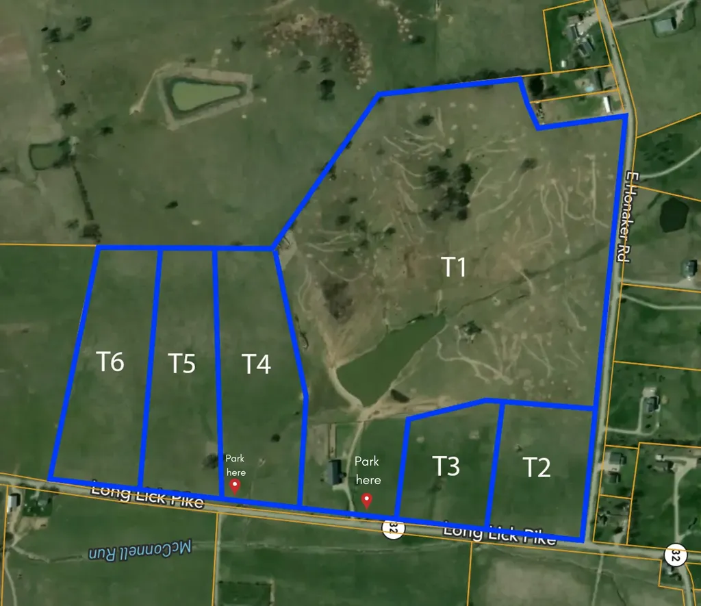 3594 Long Lick Pike Stamping Ground KY 40379
