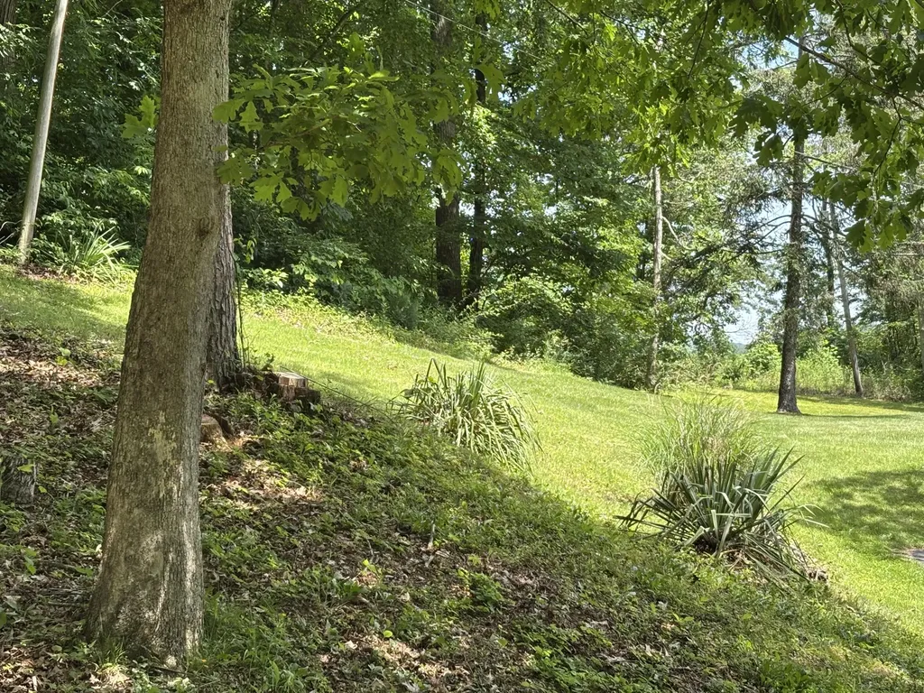 251 Old State Road London KY 40744