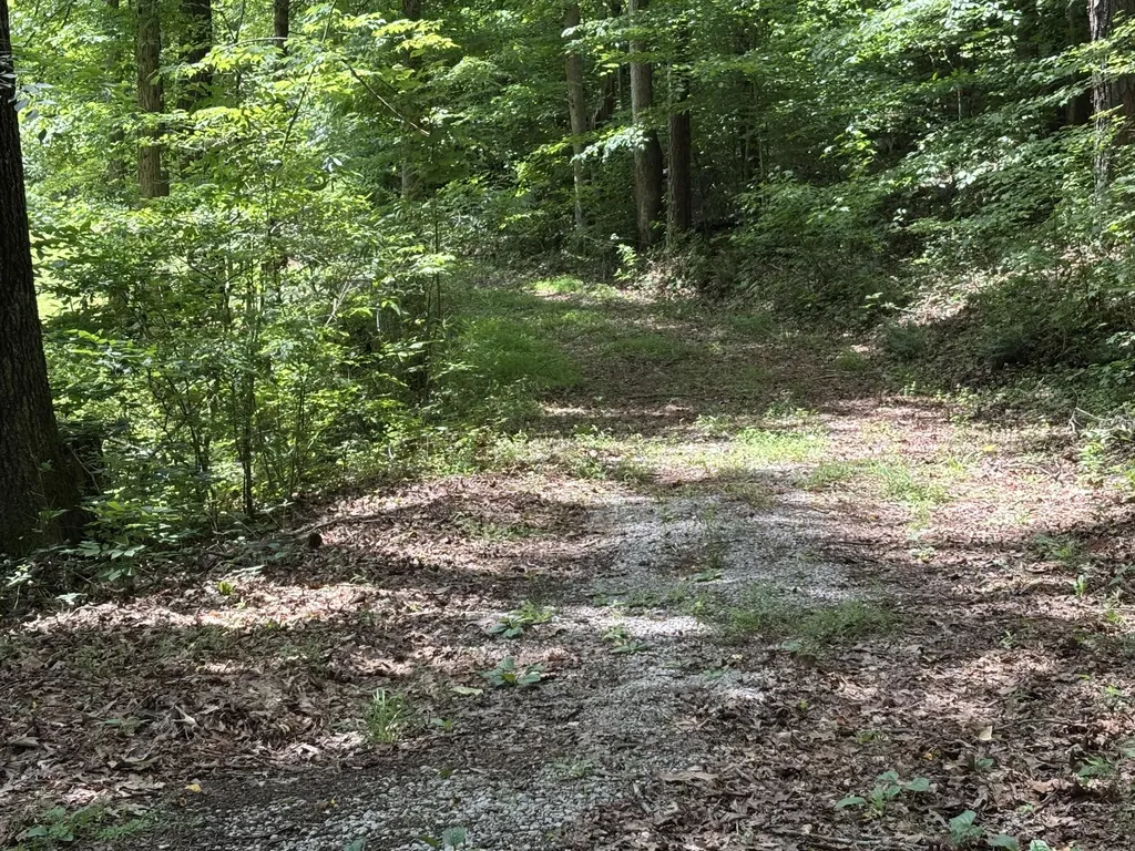 251 Old State Road London KY 40744