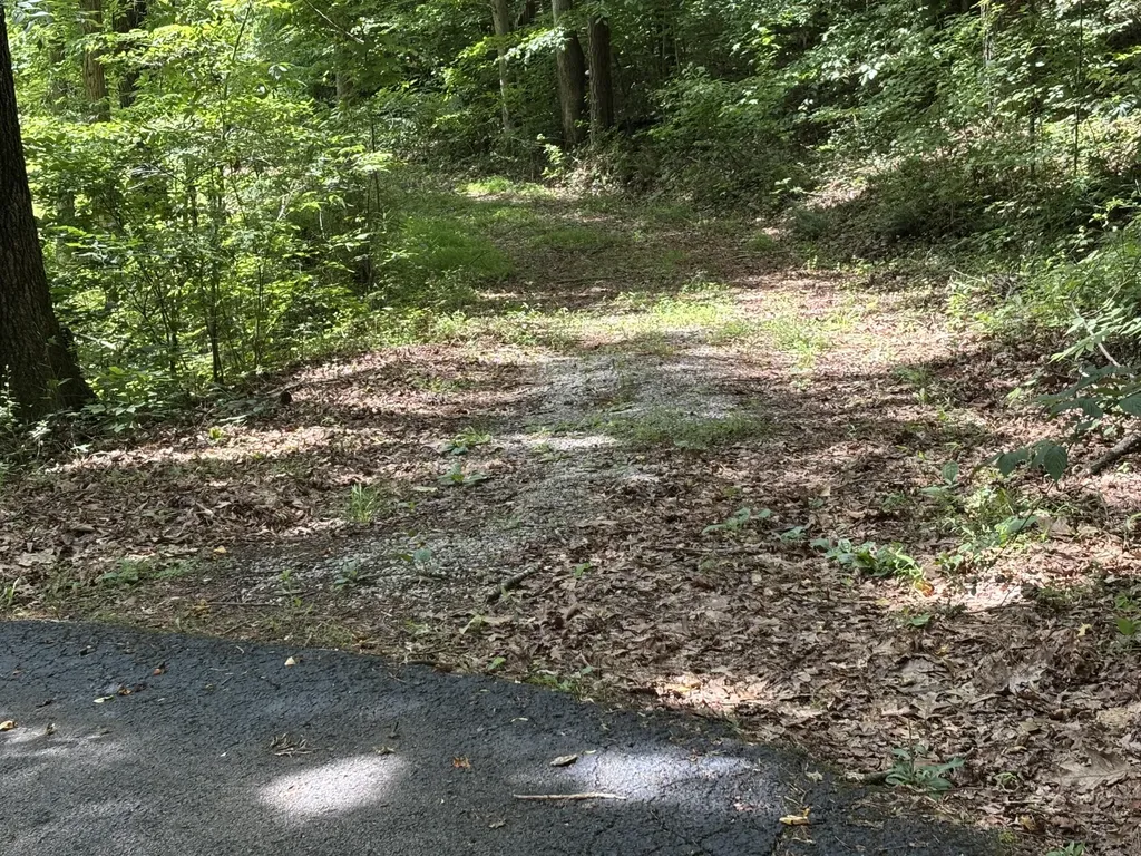 251 Old State Road London KY 40744