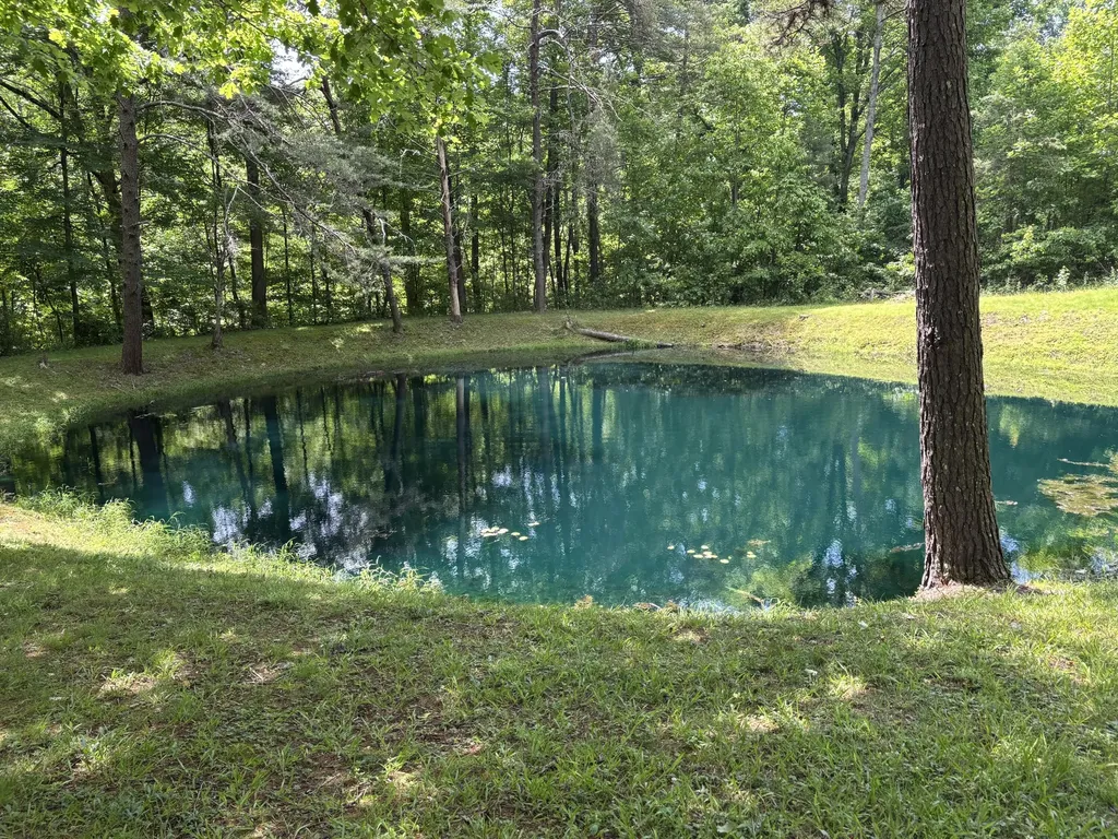 251 Old State Road London KY 40744