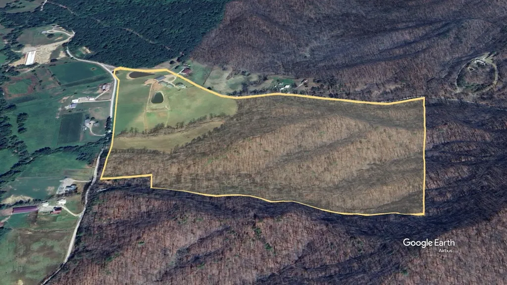 4445-3 Pine Grove Road Means KY 40346
