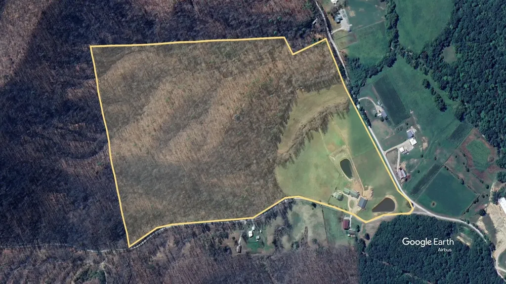 4445-3 Pine Grove Road Means KY 40346