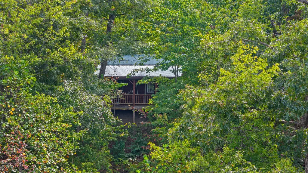 4445-2 Pine Grove Road Means KY 40346