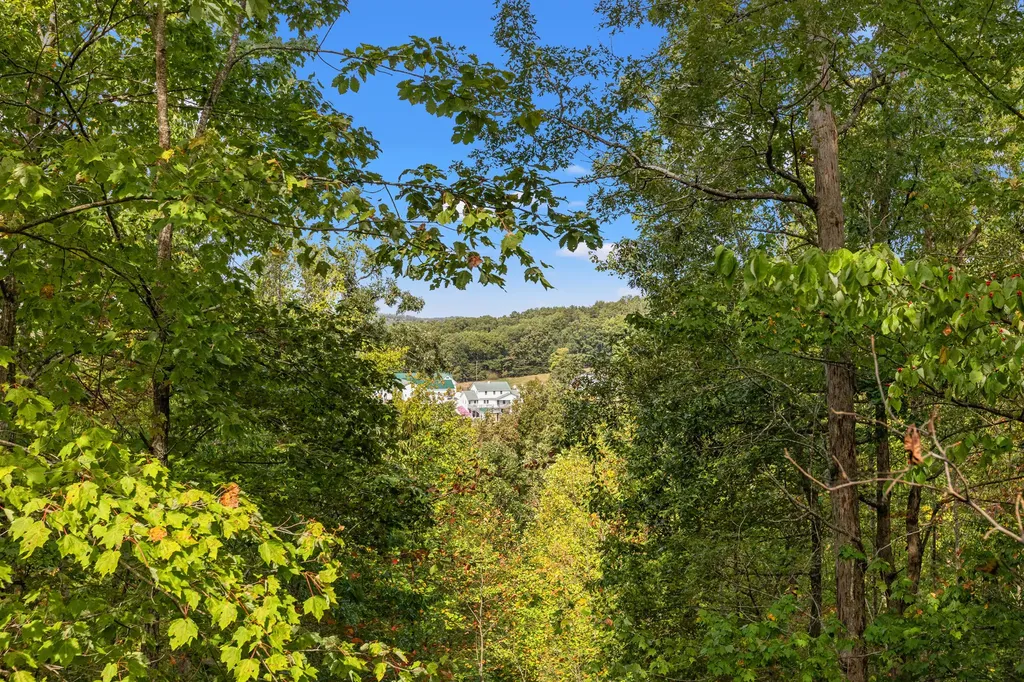 4445-2 Pine Grove Road Means KY 40346