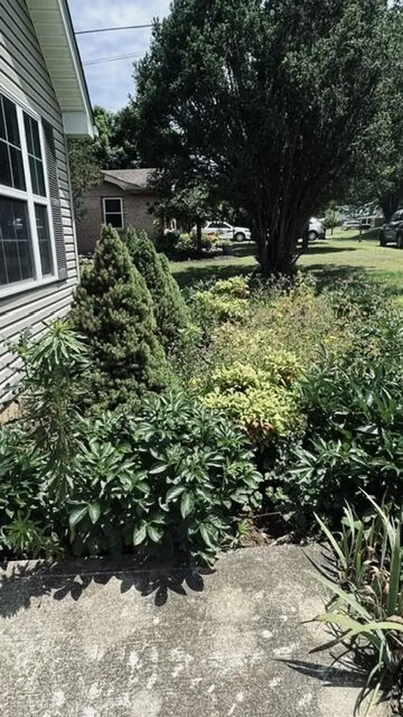 70 Liberty Drive Mt Vernon KY 40456