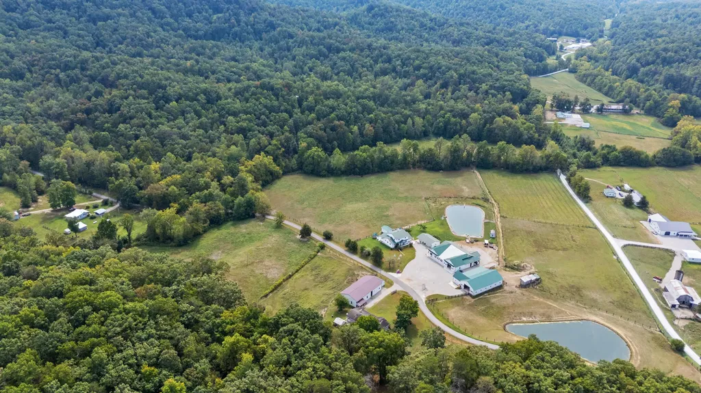 4445 Pine Grove Road Means KY 40346